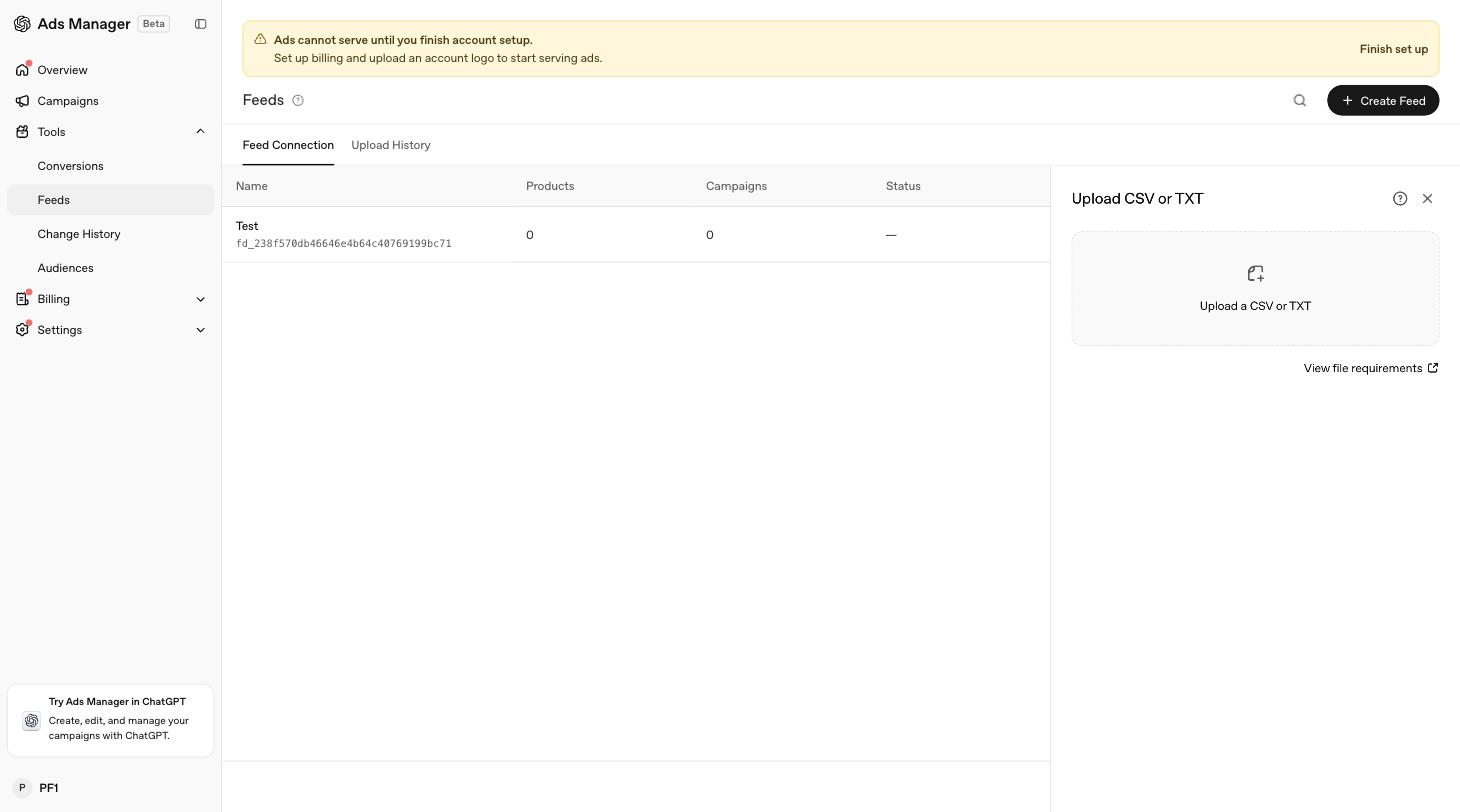 The Upload CSV or TXT panel with a drop zone and file requirements link